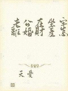 老公在坐牢起诉离婚财产怎么判