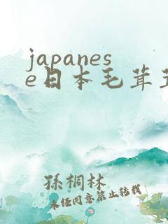 japanese日本毛茸茸2