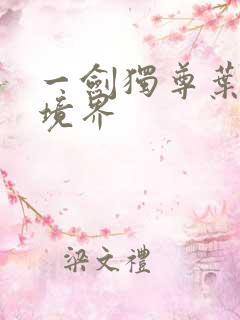 一剑独尊叶玄的境界