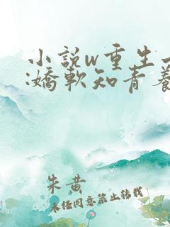 小说w重生七零:娇软知青养娃记》