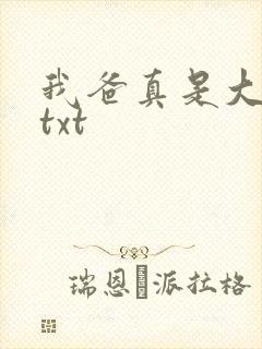 我爸真是大明星txt