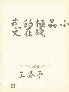 我的极品小姨全文在线