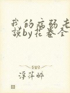 我的病弱老婆小说by花卷全文免费阅读