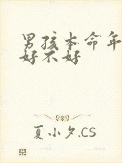 男孩本命年结婚好不好