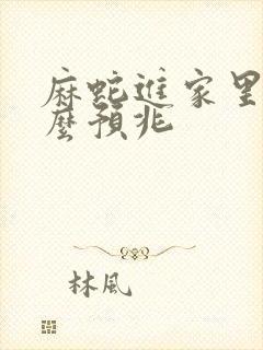 麻蛇进家里是什么预兆