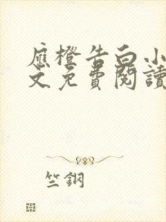 应橙告白小说全文免费阅读无删减