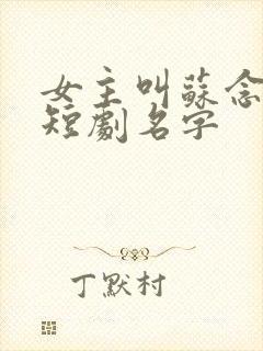 女主叫苏念笙的短剧名字