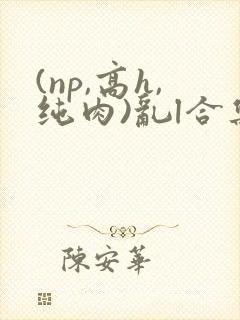 (np,高h,纯肉)乱l合集