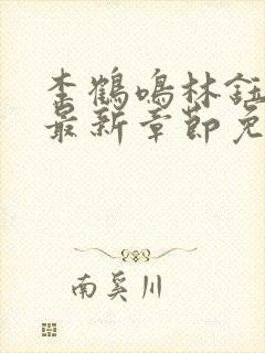 李鹤鸣林钰小说最新章节免费阅读