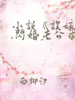 小说《误嫁豪门,闪婚老公求见面》