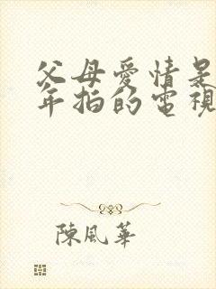 父母爱情是哪一年拍的电视剧