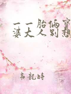 一一胎俩宝,老婆大人别想逃