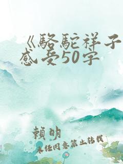 《骆驼祥子》的感受50字