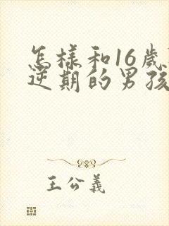 怎样和16岁叛逆期的男孩沟通