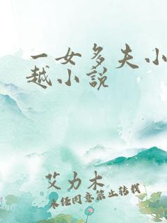 一女多夫小说穿越小说