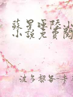 苏星晖陆小雅的小说免费阅读