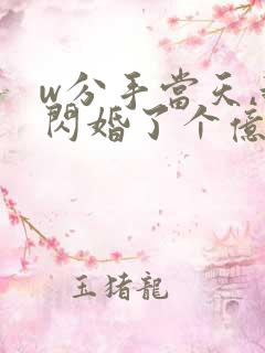 w分手当天,我闪婚了个亿万富翁》