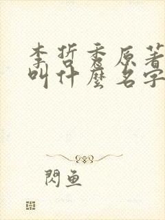 李哲秀原著小说叫什么名字啊