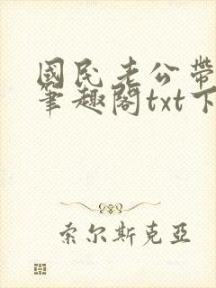 国民老公带回家笔趣阁txt下载