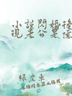 小说闪婚后,发现老公是亿万总裁免费阅读