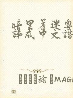 暗里着迷粤语翻译成中文谐音