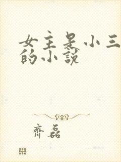 女主是小三上位的小说