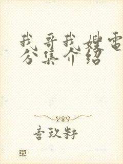 我哥我嫂电视剧分集介绍