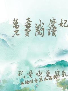 万毒小魔妃全本免费阅读