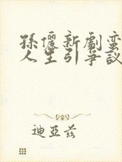 孙俪新剧蛮好的人生引争议