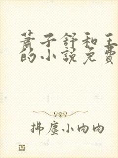 萧子舒和王清荷的小说免费阅读