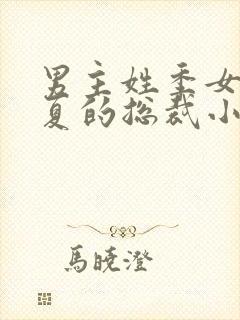 男主姓季女主姓夏的总裁小说