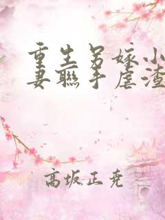 重生另嫁小叔夫妻联手虐渣无错