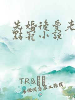 先婚后爱老公轻点宠小说
