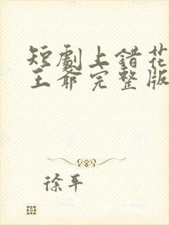 短剧上错花轿嫁王爷完整版