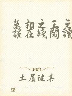 万相之王免费小说在线阅读