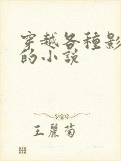 穿越各种影视剧的小说