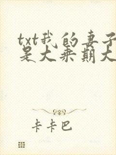 txt我的妻子是大乘期大佬下载