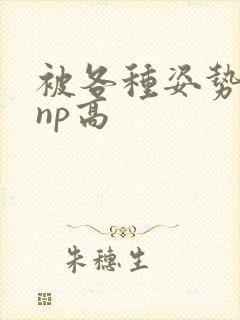 被各种姿势玩弄np高