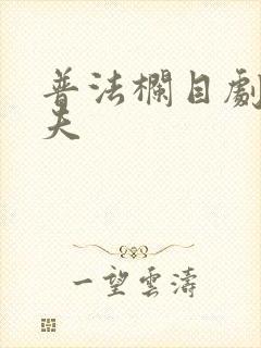 普法栏目剧小丈夫