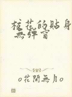 校花的贴身高手 无弹窗