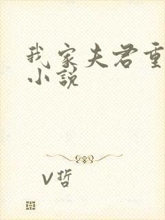 我家夫君重生了小说