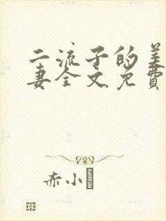 二流子的美貌娇妻全文免费阅读