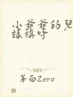 小爷爷的儿子怎样称呼