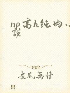 np高h纯肉小说