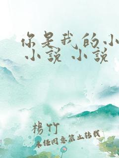 你是我的小确幸 小说 小说