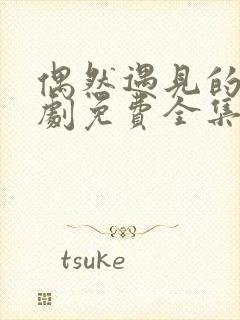 偶然遇见的你短剧免费全集免费播放