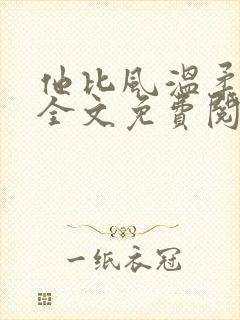 他比风温柔小说全文免费阅读