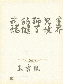 我的师兄实在太稳健了境界划分