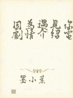 因为遇见你分集剧情介绍电视猫