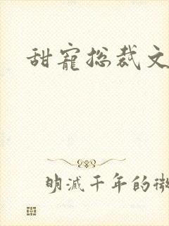 甜宠总裁文推荐